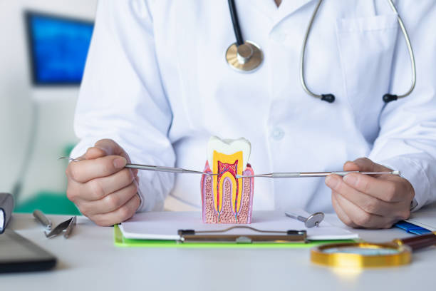 Best Dentist for Severe Toothache  in Westke, LA